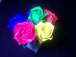 Rainbow Roses