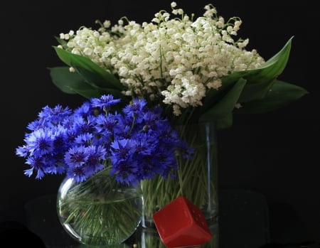 Flowers - flowers, white, nature, blue