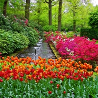 Keukenhof gardens