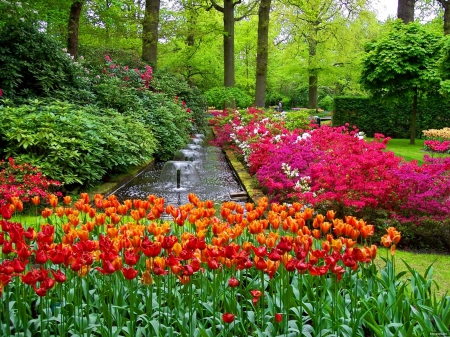 Keukenhof gardens - pretty, summer, fountain, grass, spring, forest, alleys, flowers, garden, nice, greenery, trees, beautiful, lovely, colorful, tulips, nature