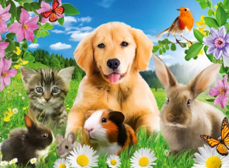 Friends - nice, beautifulm, sky, freshness, paradise, greenery, field, bunny, spring, rabbit, art, pretty, clouds, dogs, daisies, grass, birds, butterflies, cat, kitty, day, summer, lovely, kitten, nature, bright, beautiful, friends, flowers, puppies