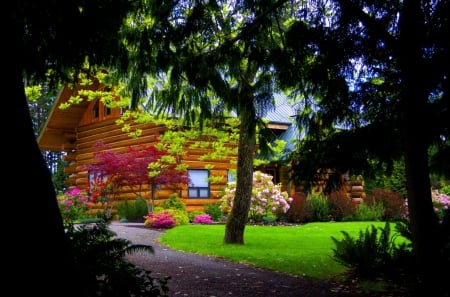 Wooden house - calm, quiet, cabin, grass, forest, countryside, nice, place, hut, cottage, woods, house, trees, beautiful, lovely, wooden, nature, peaceful, silent