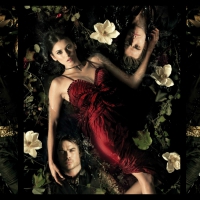 Vampire Diaries (2009-)