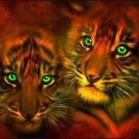 Sweet Tiger Cubs