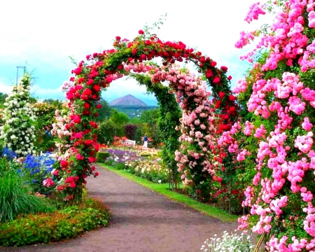 Beautiful garden - path, arch, flowers, garden