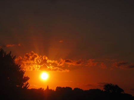 The sun sets - sunset, nature, view, photography, sunshine, sunsets, tree, sun