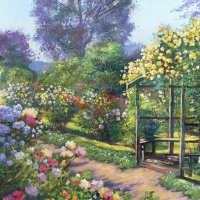 an evening rose garden