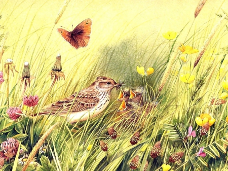 SPARROWS  IN SPRING - young, drawing, sparrows, spring