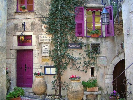 purple accent - flowers, house, door, window, beauty