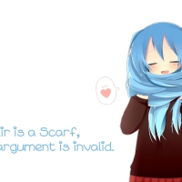 My hair is a Scarf, your argument is invalid