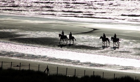 ***Horse back riding*** - picture, horses, horse, riding, wallpaper, sea