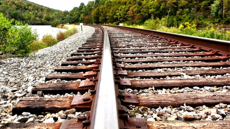 RAILWAY TRACK - railway, woods, trees, track, stones