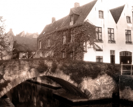 houses on the bridge - water, mooi, houses on the bridge, huizen brug