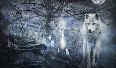 Mystic Moments - night, wolf, mystic, momet