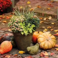 Fall season garden decoration