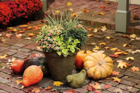 Fall season garden decoration - nature, decoration, garden, fall season, still life