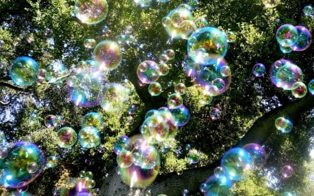 SOAP BUBBLES - wallpaper, summery, bubbles, soap