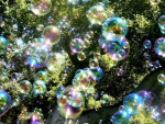 SOAP BUBBLES