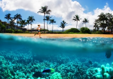 Kanappali Beach Maui Hawaii - beach, paradise, coral reef, hawaii, underwater, coral, lagoon, jogger, sand, ocean, islands, tropical, reef, exotic, shot, maui, island, photo, sea