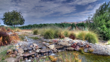 little falls in a stream by a grove - grove, stream, falls, rocks