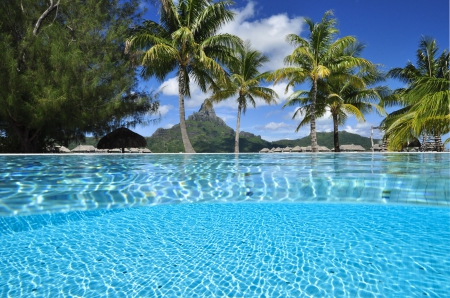 Through the Pool Bora Bora - beach, palm trees, swimming, paradise, tropical, clear, underwater, bora bora, blue, island, pool, tahiti