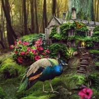 Fairytale Forest House