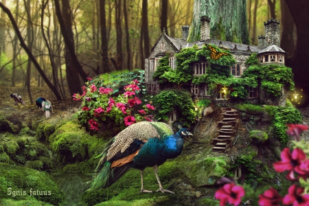 Fairytale Forest House - peacock, fantasy, forest, birds