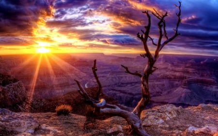 Sunset over canyon - nice, dazzling, sky, sundown, trees, colorful, sunset, rocks, amazing, view, clouds, rays, mountain, light, summer, lovely, nature, glow, canyon, beautiful, sunrise