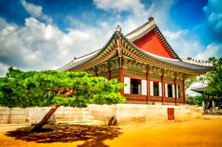 Temple - tree, hdr, photo, temple