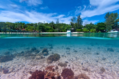 Under the Blue Lagoon - beach, paradise, hawaii, polynesia, coral, bora bora, lagoon, atoll, sand, ocean, islands, tropical, reef, exotic, blue, island, sea, tahiti