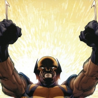 WOLVERINE