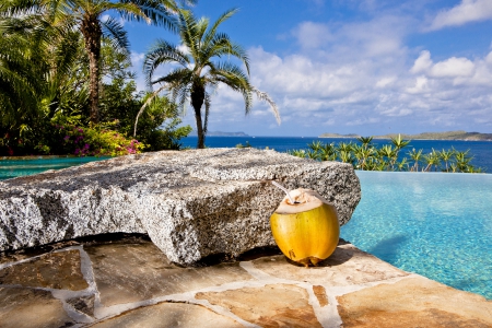 Paradise Pool - beach, sea, island, hawaii, polynesia, ocean, drink, islands, coconut, swimming, pool, paradise