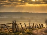 beautiful sun rays over a country road