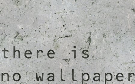 no wallpaper - text fun, gray, no, words, wallpaper