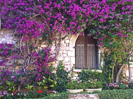 Eza village, France - mauntain, village, cove, Flowers, view, nice