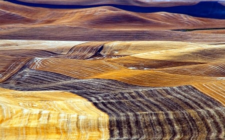 Patchwork of Fields - Photo, Textures, Hills, Fields