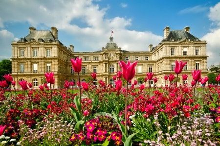 Palace - red, flowers, photo, flower, palace