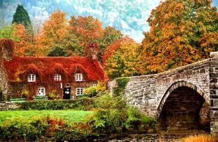 Autumn bridge - autumn, fall, trees, red, green, house, photo, bridge