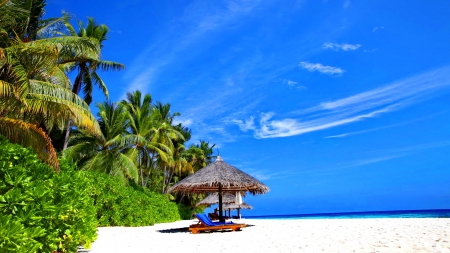 Paradise island - nice, hut, sky, tropics, paradise, water, umbrella, sunny, sands, ocean, palm trees, palms, summer, tropical, bach, shore, lovely, exotic, nature, blue, beautiful, island, sea