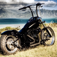 Harley Davidson
