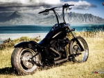 Harley Davidson