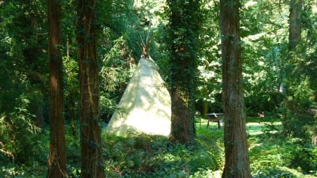 The Forest Tower, Tipi in the Arboretum