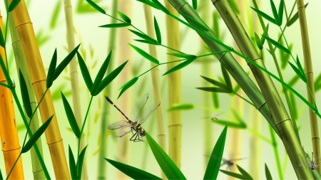 Bamboo Dance - trees, dragonflies, soft, wind, foliage, forest, blowing, jungle, green, breeze, bamboo