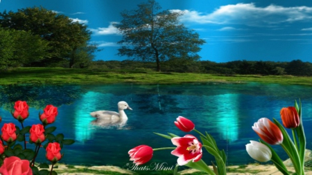 Peaceful Place - lake, pretty, peaceful, blue, flowers