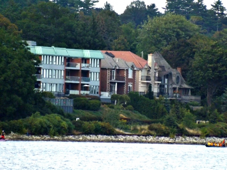 still standing - houses, trees, buildings, foilage