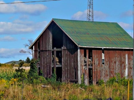 abandoned barn - foilage, wood, barn, wood slats, abandoned