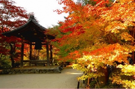 Japanese Garden in Autumn