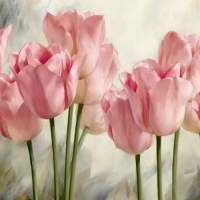 Soft pink tulips