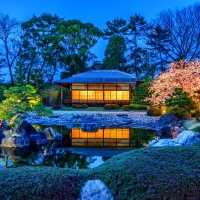 Japan garden