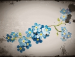 Forget me not